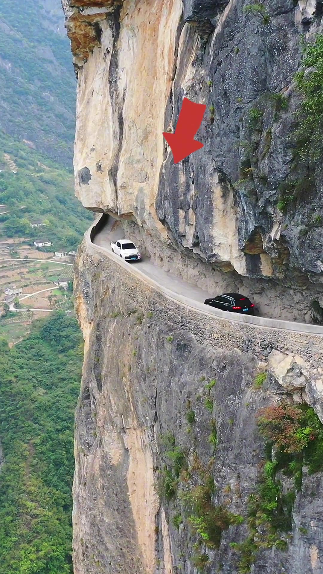 千米懸崖上兩車相遇，誰會(huì)先倒回去
