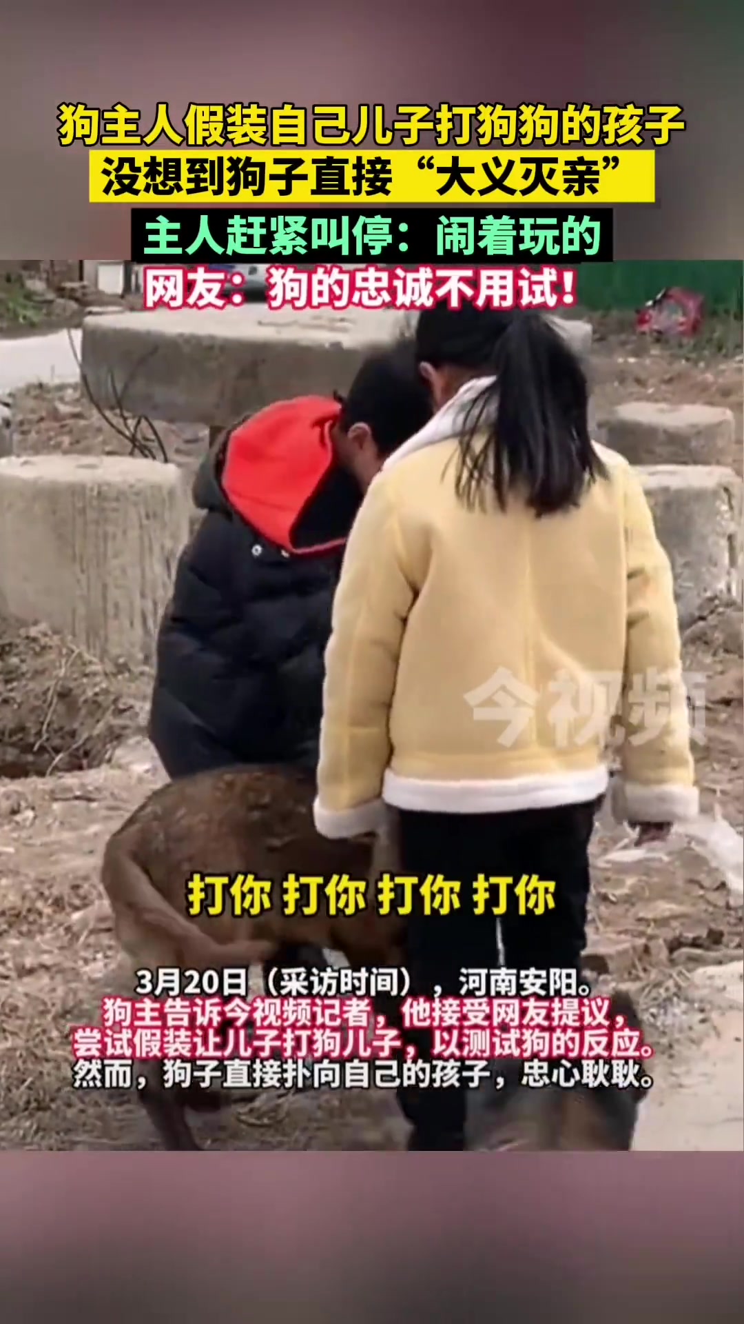 狗主人假打狗子孩子，狗“大義滅親”主人急叫停