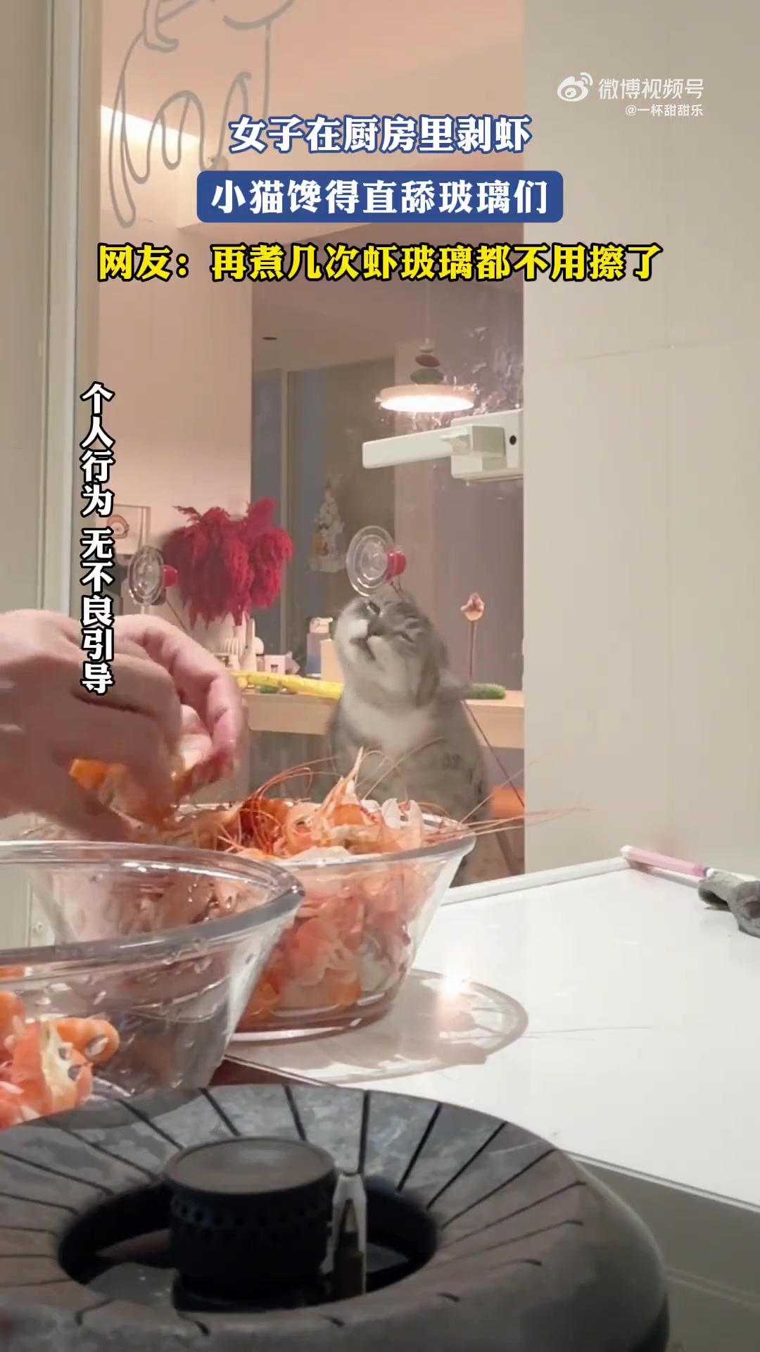 女子在厨房里剥虾，小猫馋得直舔玻璃门