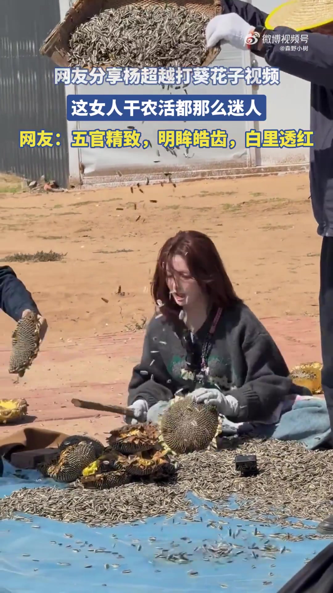 網(wǎng)友分享楊超越打葵花子視頻，這女人干農(nóng)活都那么迷人