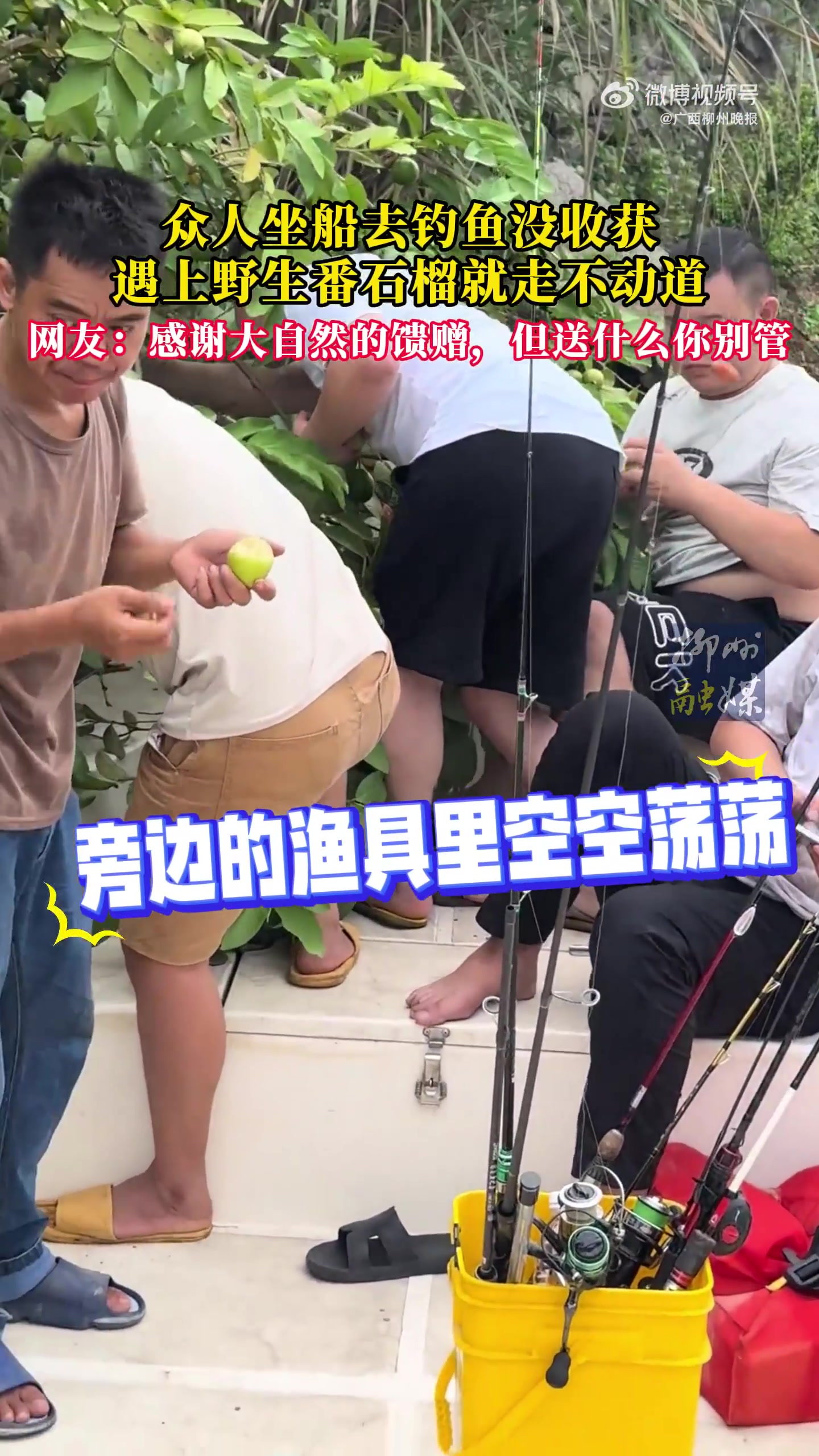 众人坐船去钓鱼没收获，结果遇上野生番石榴就走不动道