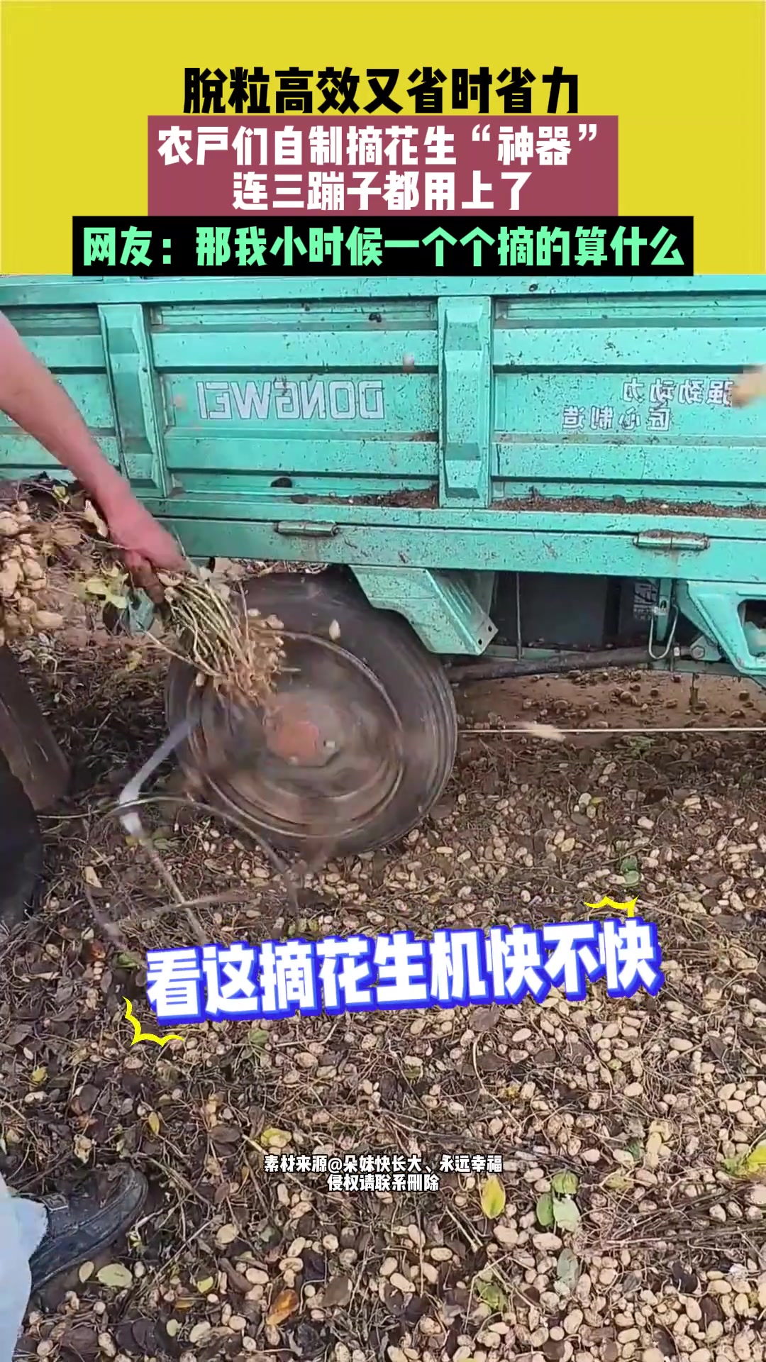 脫粒高效又省時省力，農戶自制摘花生“神器”，連三蹦子都用上了