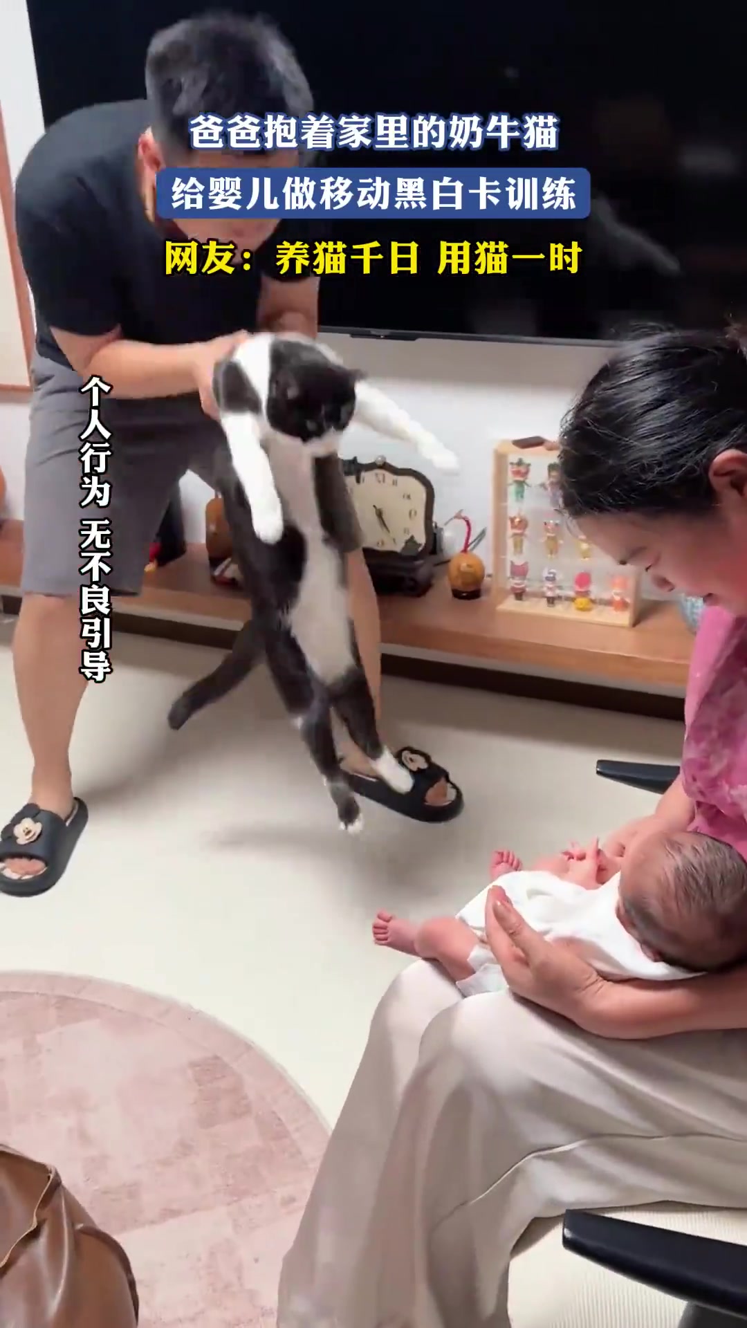 爸爸抱着家里的奶牛猫，给婴儿做移动黑白卡训练