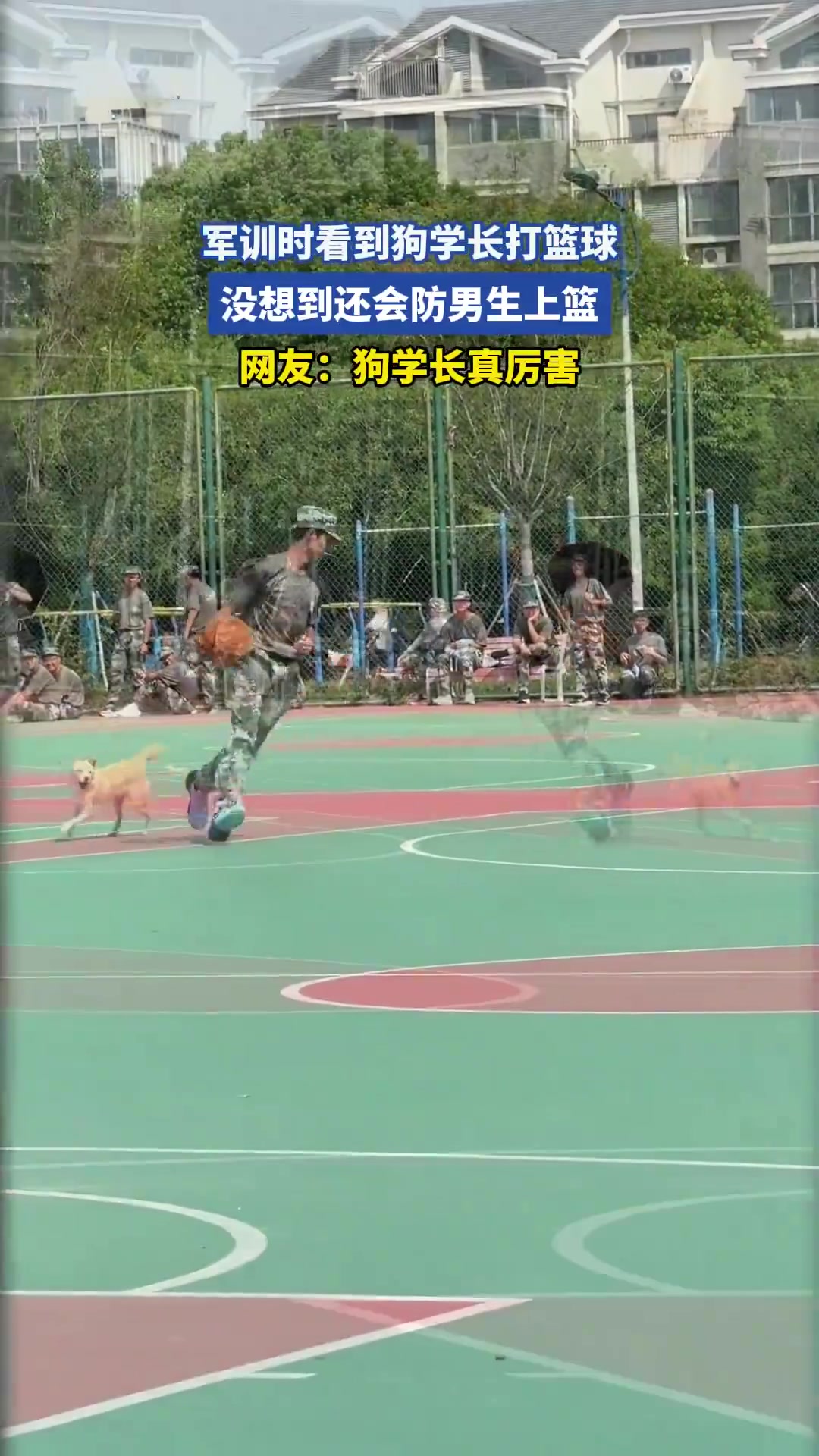 軍訓時看到狗學長打籃球，沒想到還會防男生上籃