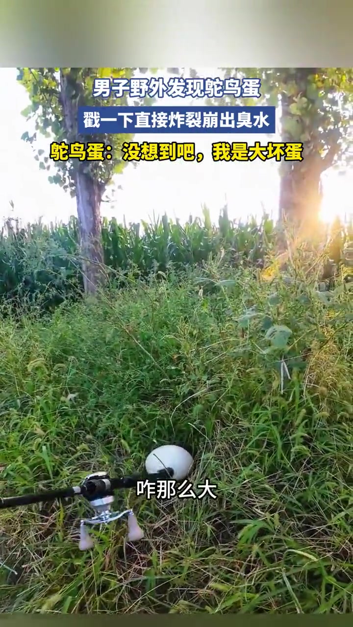 男子野外发现鸵鸟蛋，戳一下直接炸裂崩出臭水！！