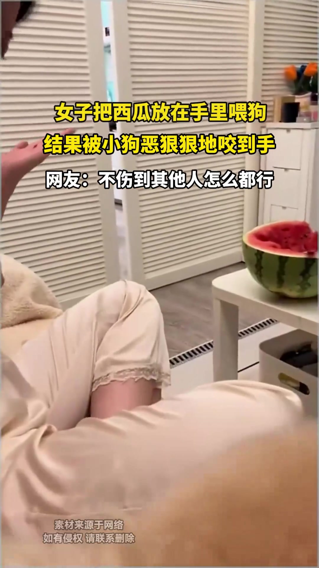 女子把西瓜放在手里喂狗，结果被小狗恶狠狠地咬到手
