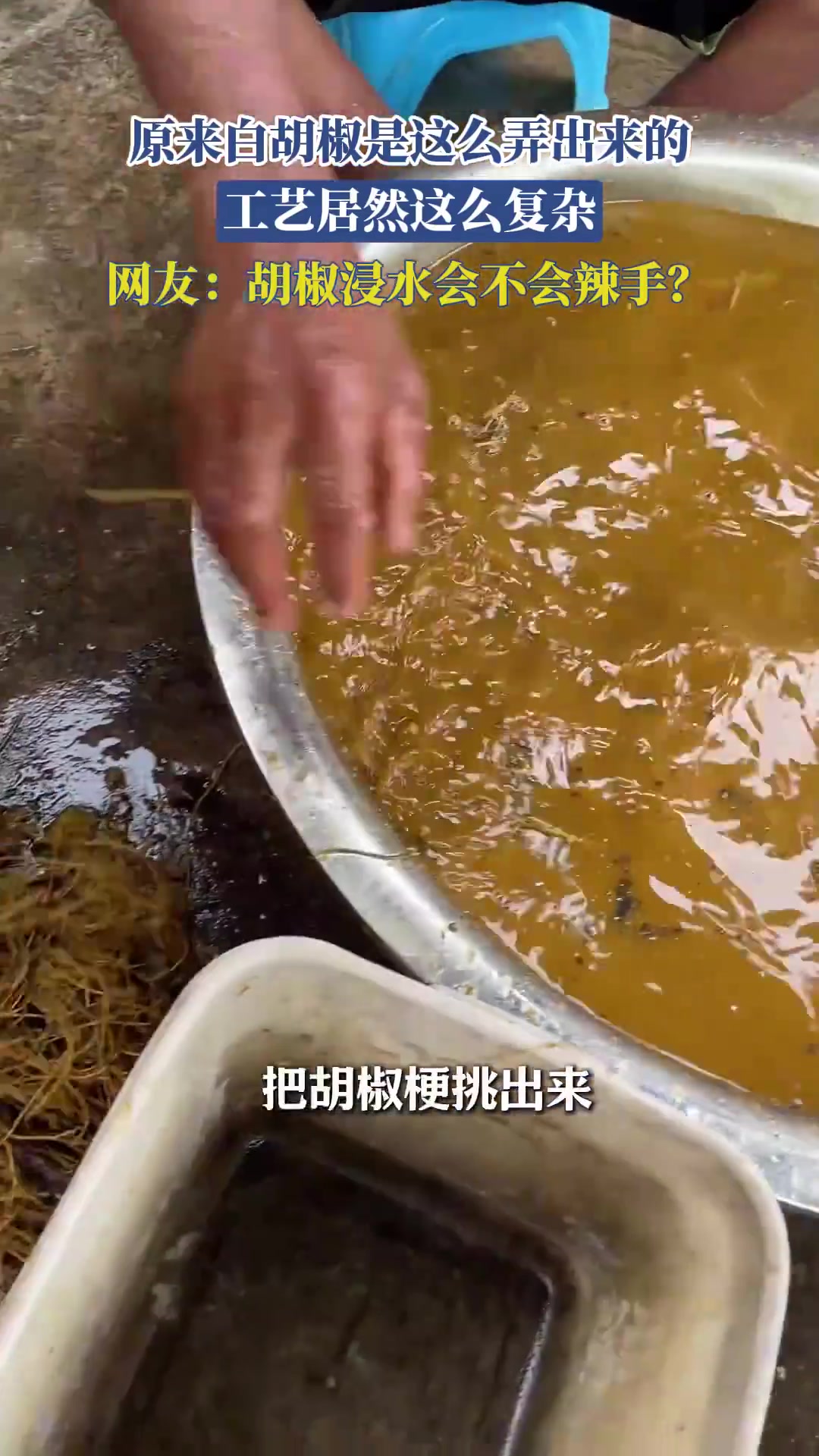 原来白胡椒是这么弄出来的