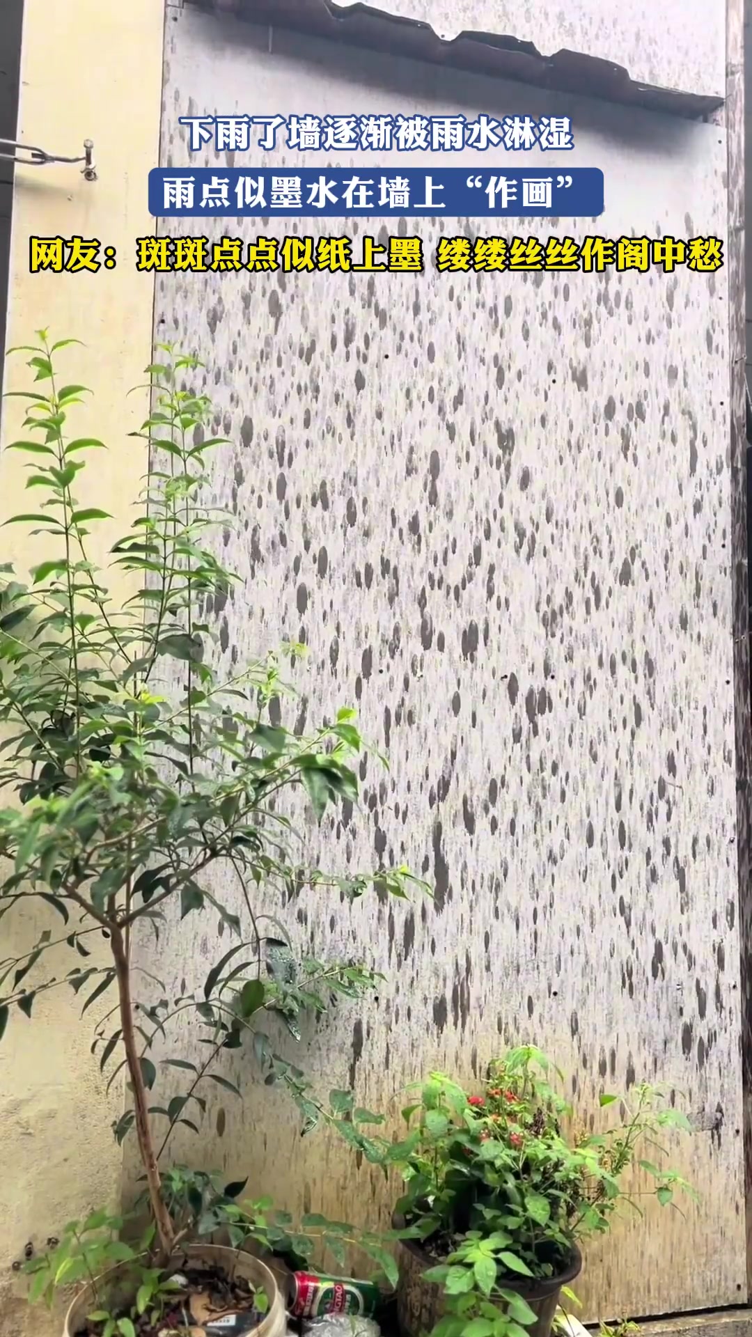 下雨了墙逐渐被雨水淋湿，雨点似墨水在墙上“作画”