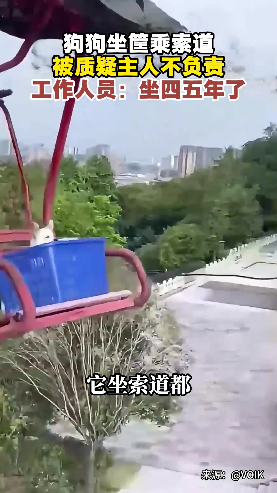 狗狗坐框乘索道，被质疑主人不负责