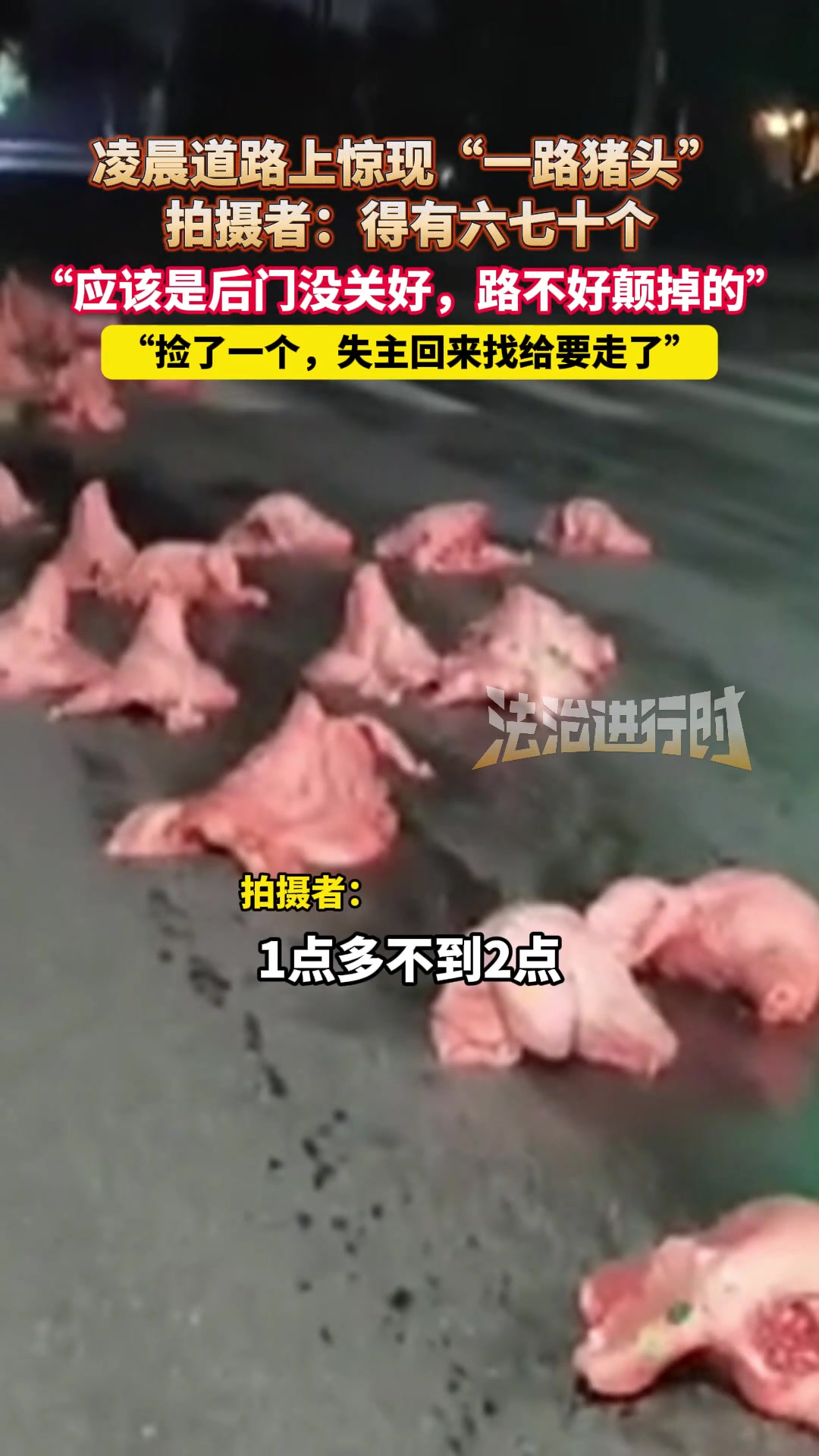 凌晨道路上驚現(xiàn)“一路豬頭”