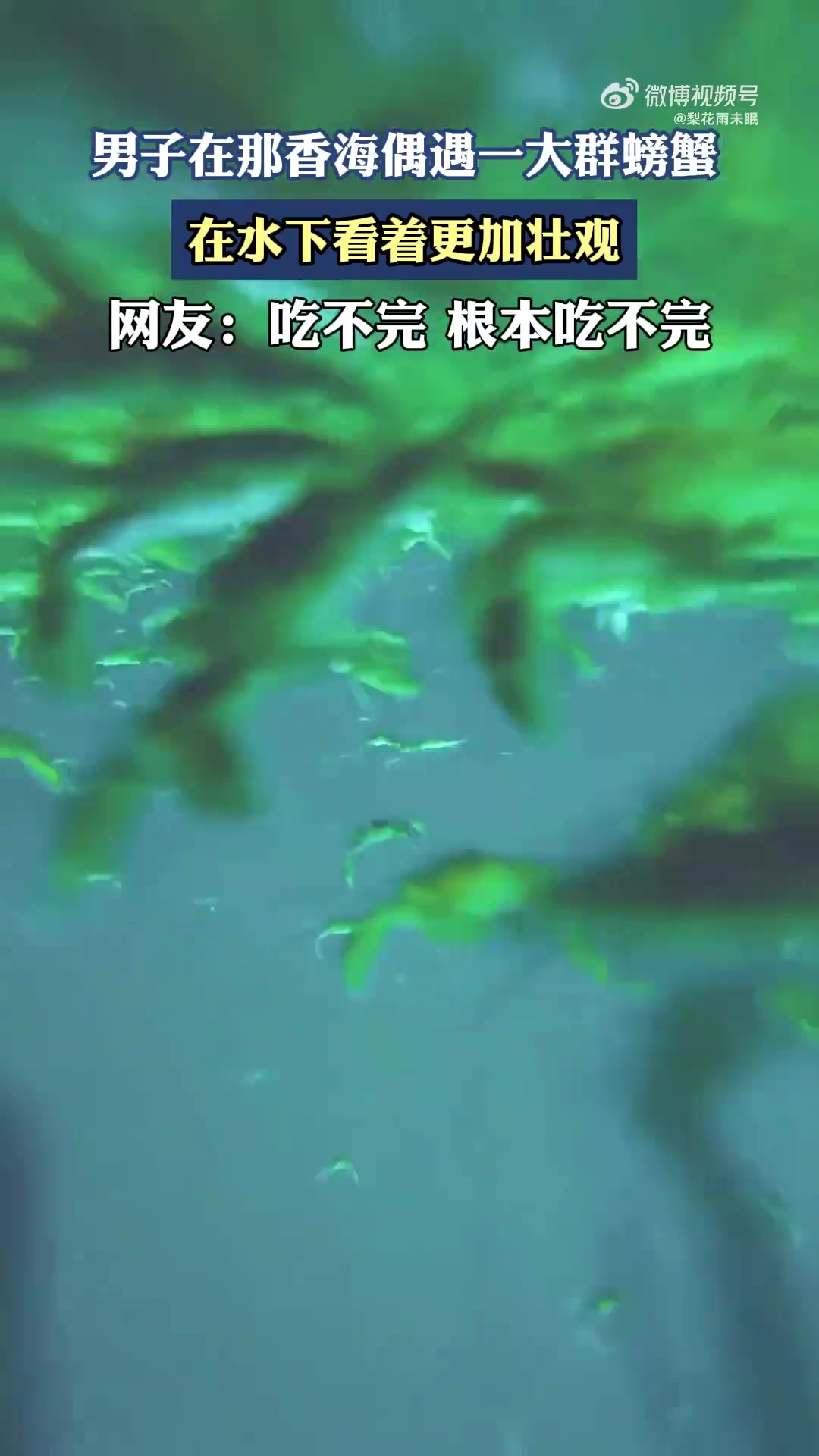 男子在那香海偶遇一大群螃蟹，在水下看着更加壮观