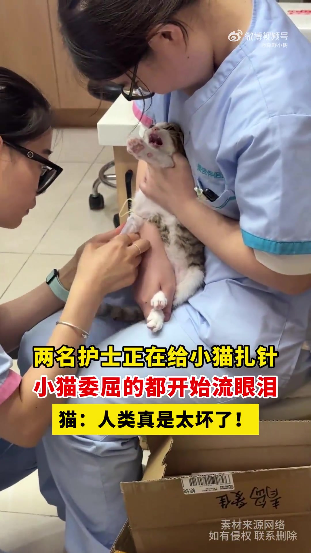 两名护士正在给小猫扎针，小猫委屈的都开始流眼泪