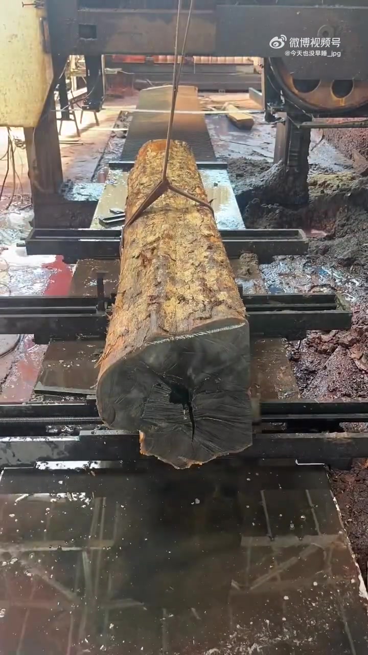 這不會是金絲楠木吧