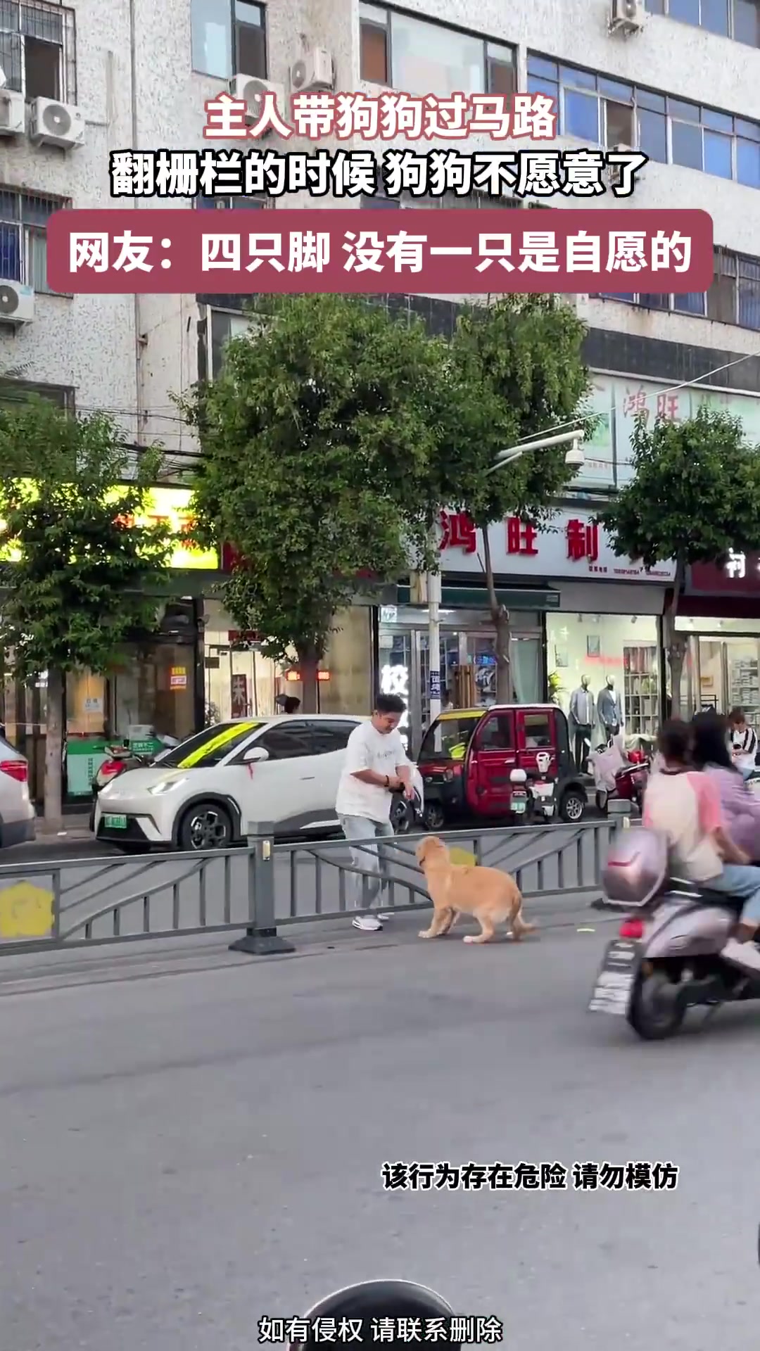 主人帶狗狗過馬路，翻柵欄的時候，狗狗不愿意了