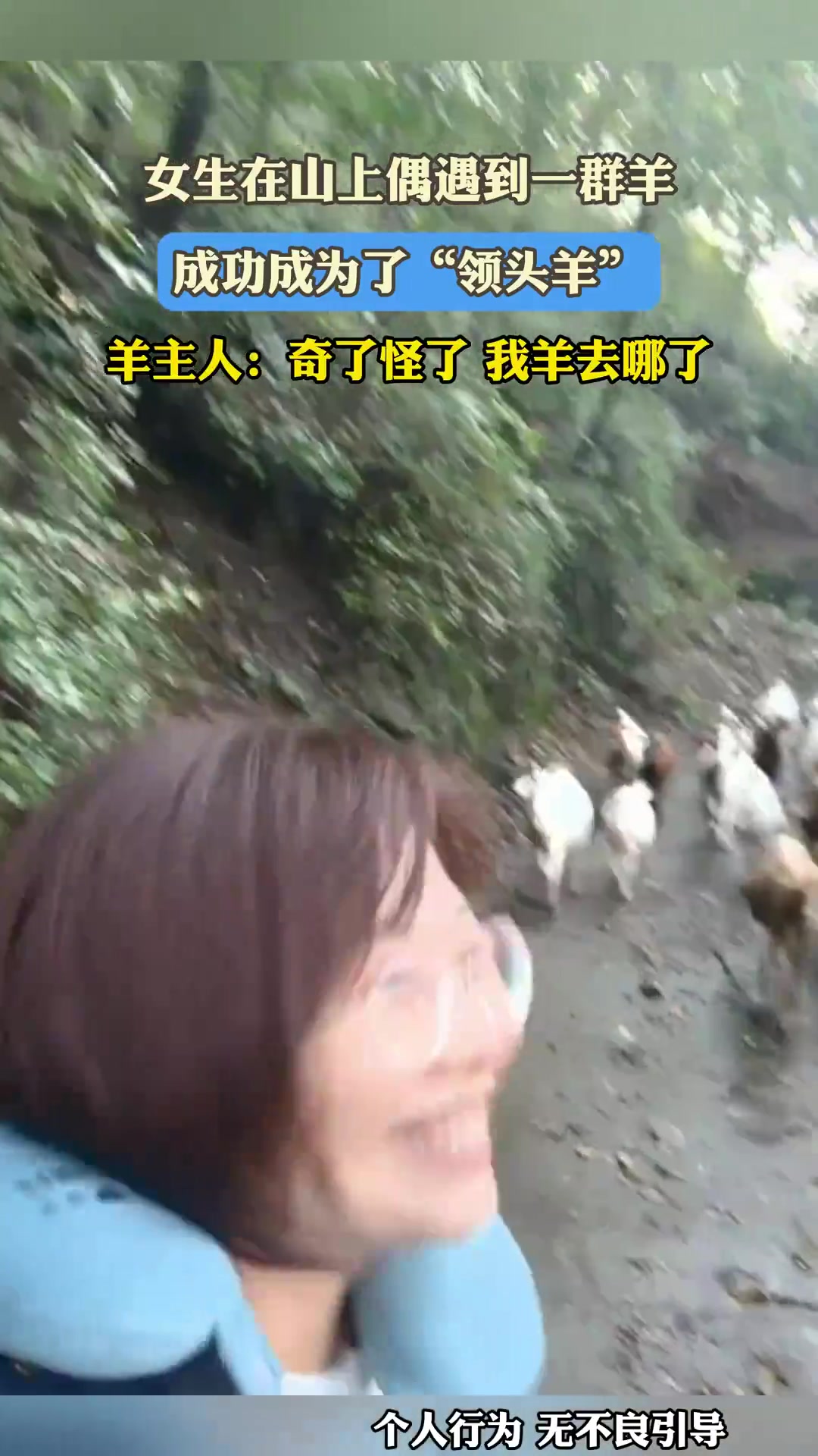 女生在山上偶遇到一群羊，成功成为了“领头羊”