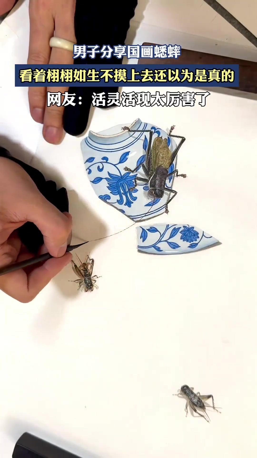 男子分享国画蟋蟀，看着栩栩如生不摸上去还以为是真的