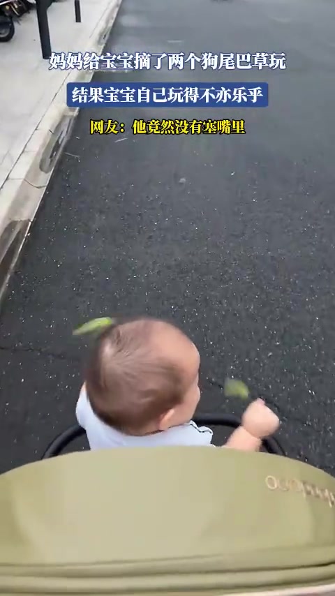 媽媽給寶寶摘了兩個(gè)狗尾巴草玩，結(jié)果寶寶自己玩得不亦樂(lè)乎