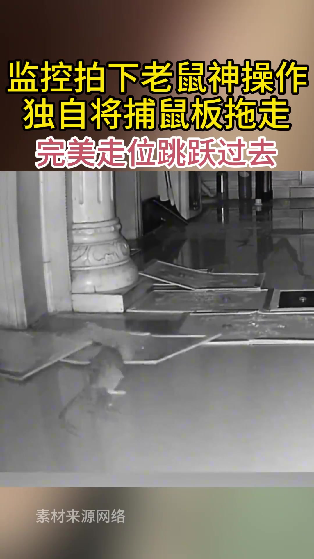 监控拍下老鼠神操作独自将捕鼠板拖走完美走位跳跃过去