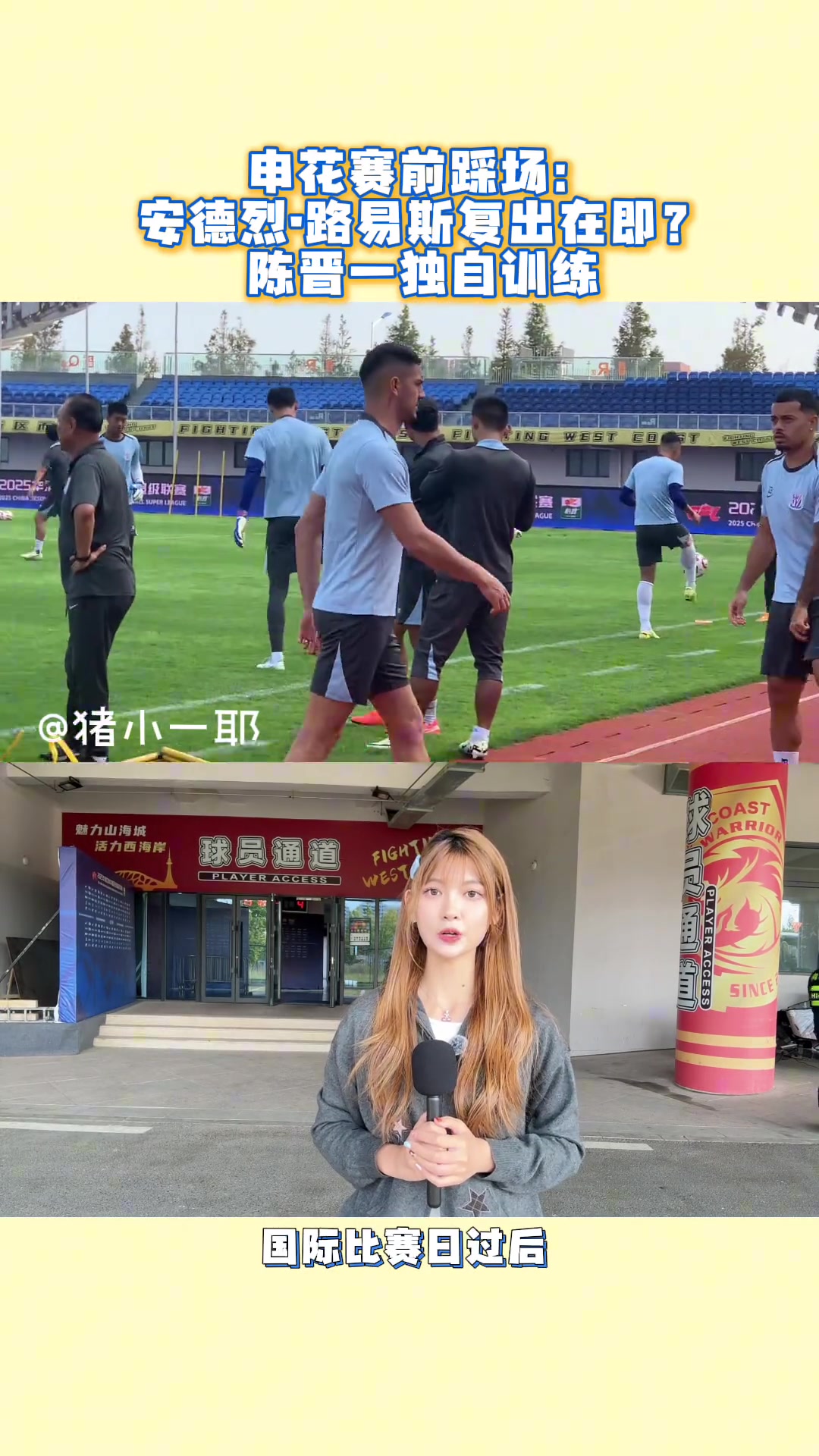 申花赛前踩场，路易斯复出在即?球场惊现“小学生打架”事件