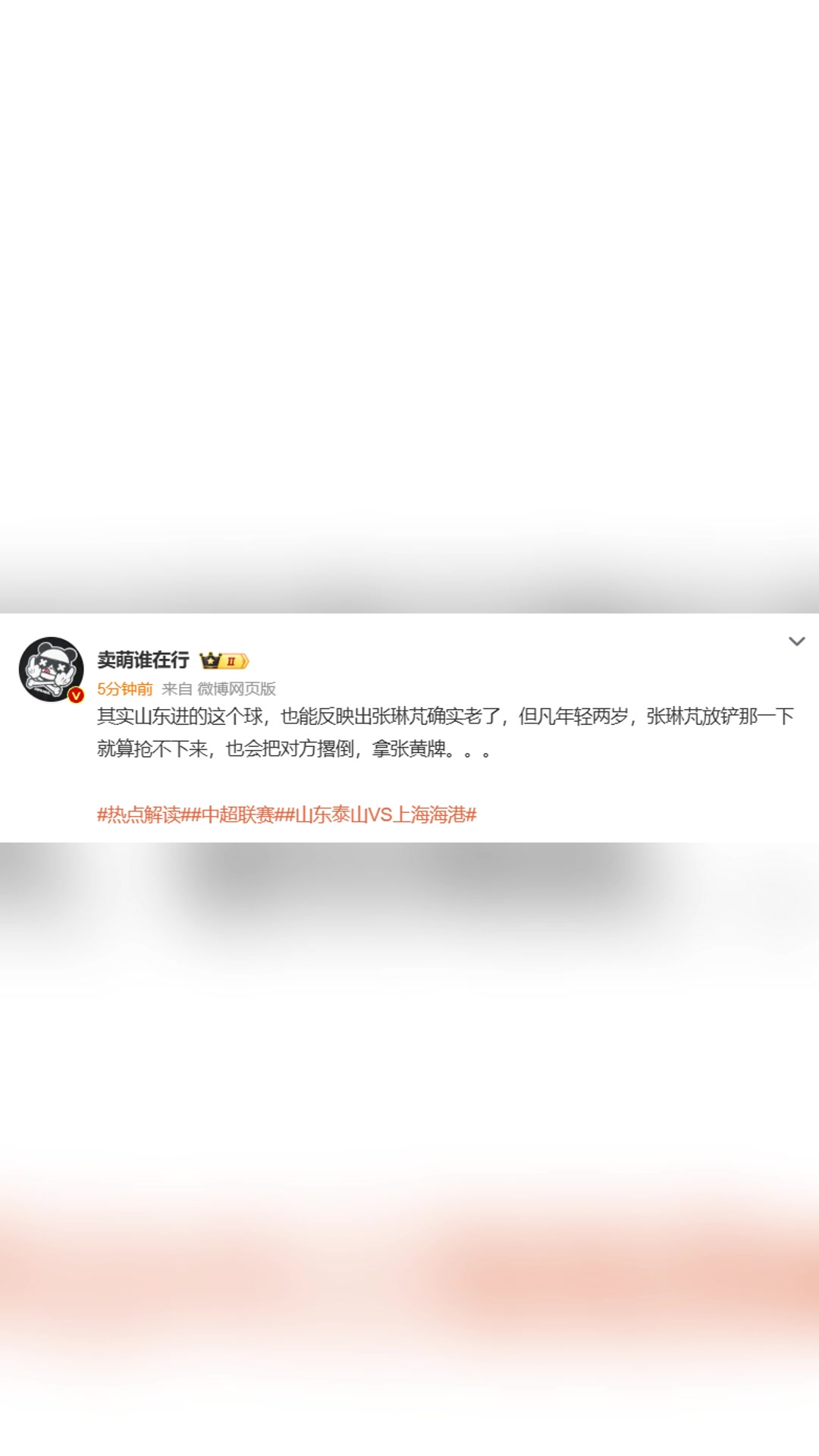 博主:张琳芃确实老了,但凡年轻两岁,也会把对方撂倒