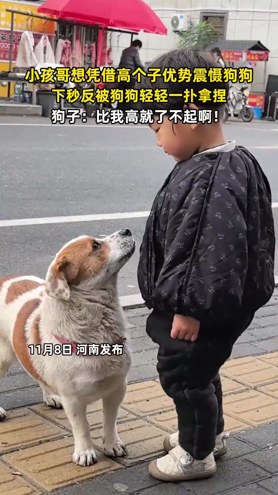 小孩哥想凭借高个子优势震慑狗狗，下秒反被狗狗轻轻一扑拿捏