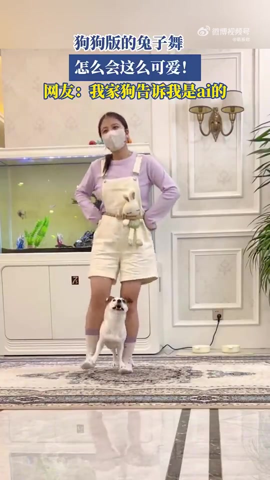 狗狗版的兔子舞，怎么会这么可爱！网友：我家狗告诉我是ai的！