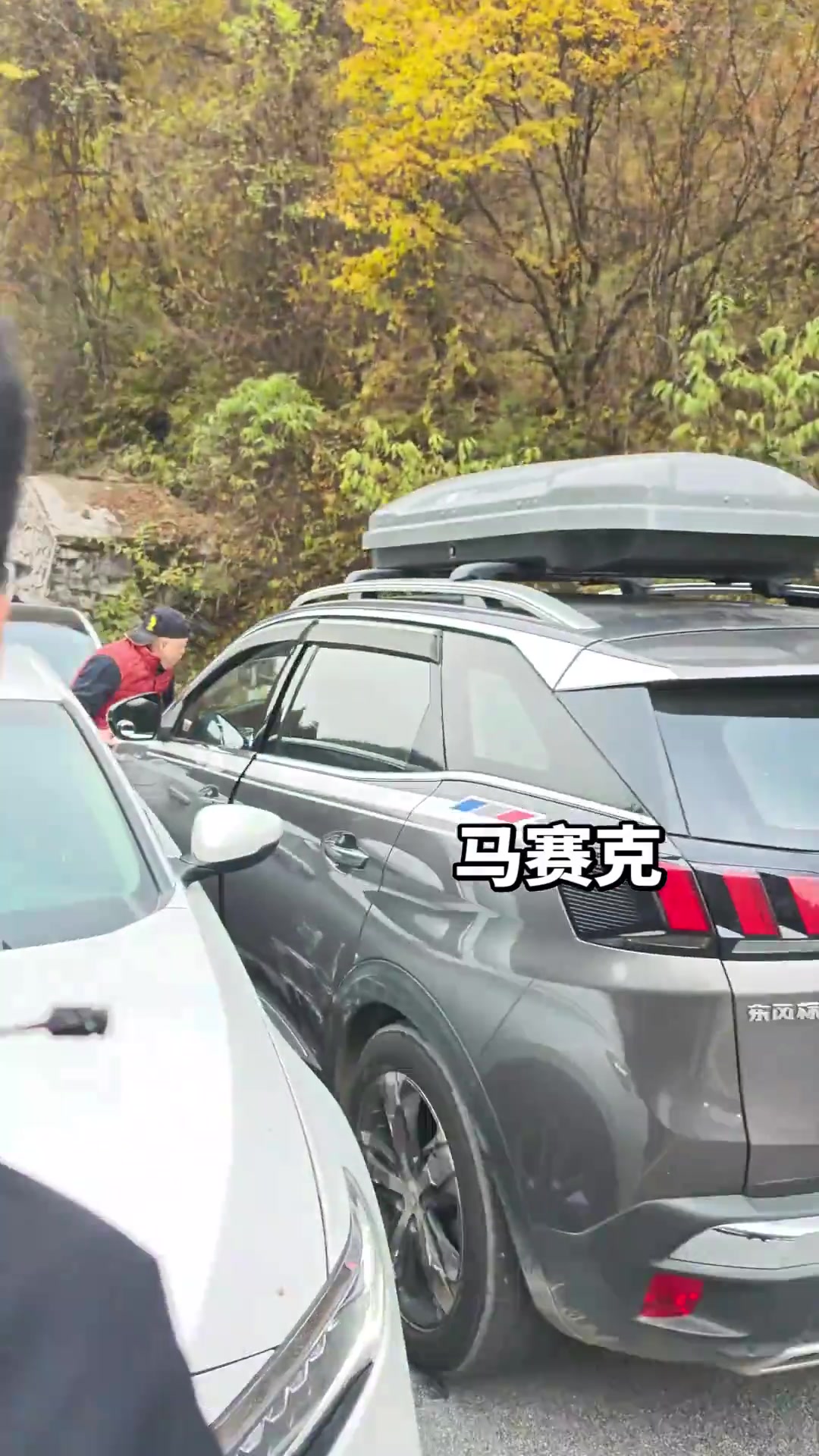 添堵制造者，这下安逸了吧！！