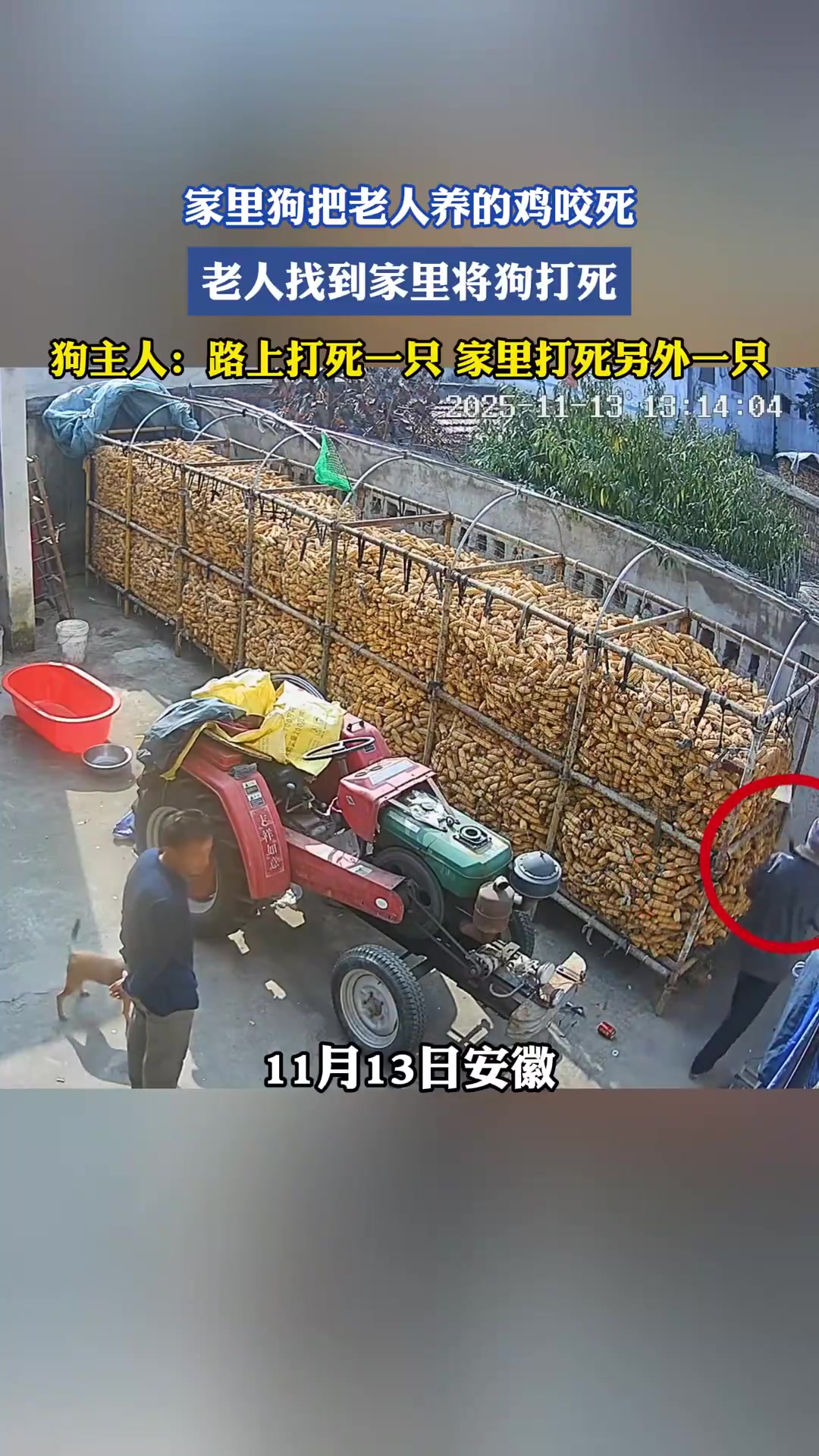 养不教，父之过！