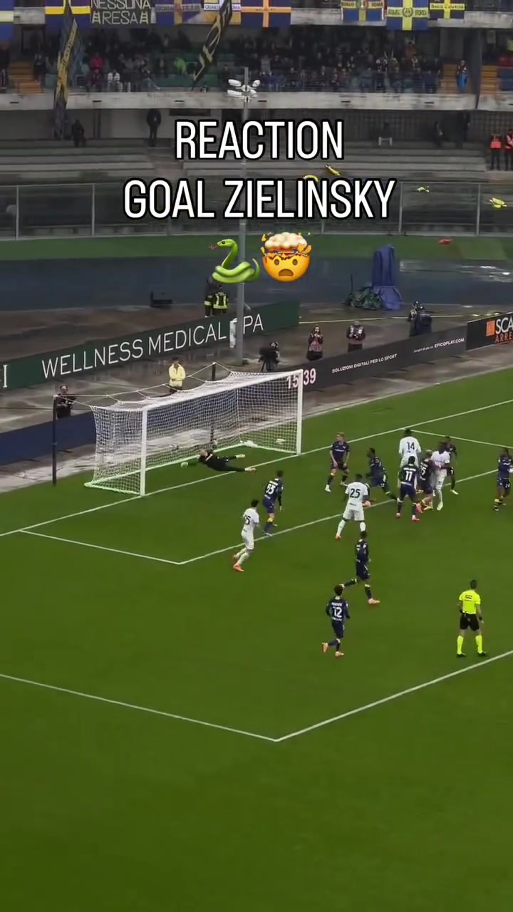 从看台上意大利球迷的反应便能看出泽林斯基这一脚有多恐怖