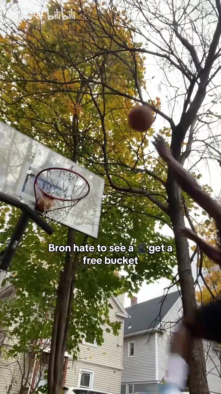 【精彩剪辑】他是从哪冒出来的！外网网友恶搞：詹姆斯的追身大帽