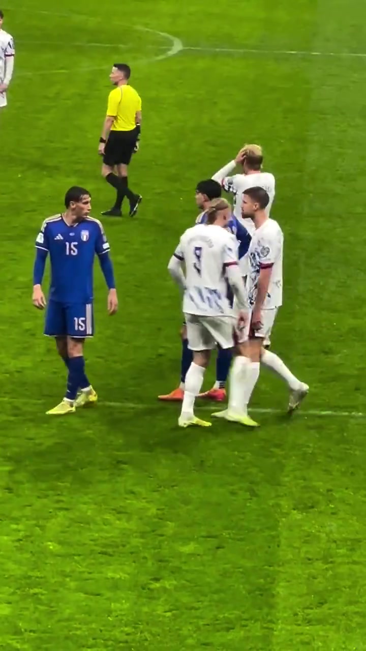 [视频/集锦]你再摸一下试试！哈兰德被揪小辫子后怒指对手