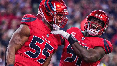 11月21日NFL常规赛 比尔 19 - 23 德州人 全场集锦