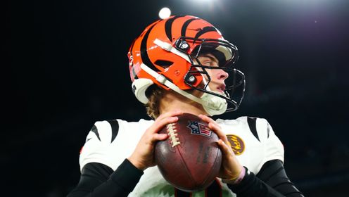 11月28日NFL常规赛 猛虎32-14乌鸦 全场集锦