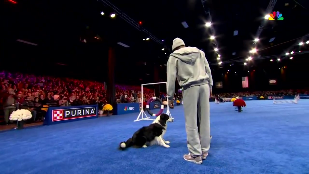  还有这种才艺？马克西受邀参加训狗竞赛！小狗好像不太配合啊
