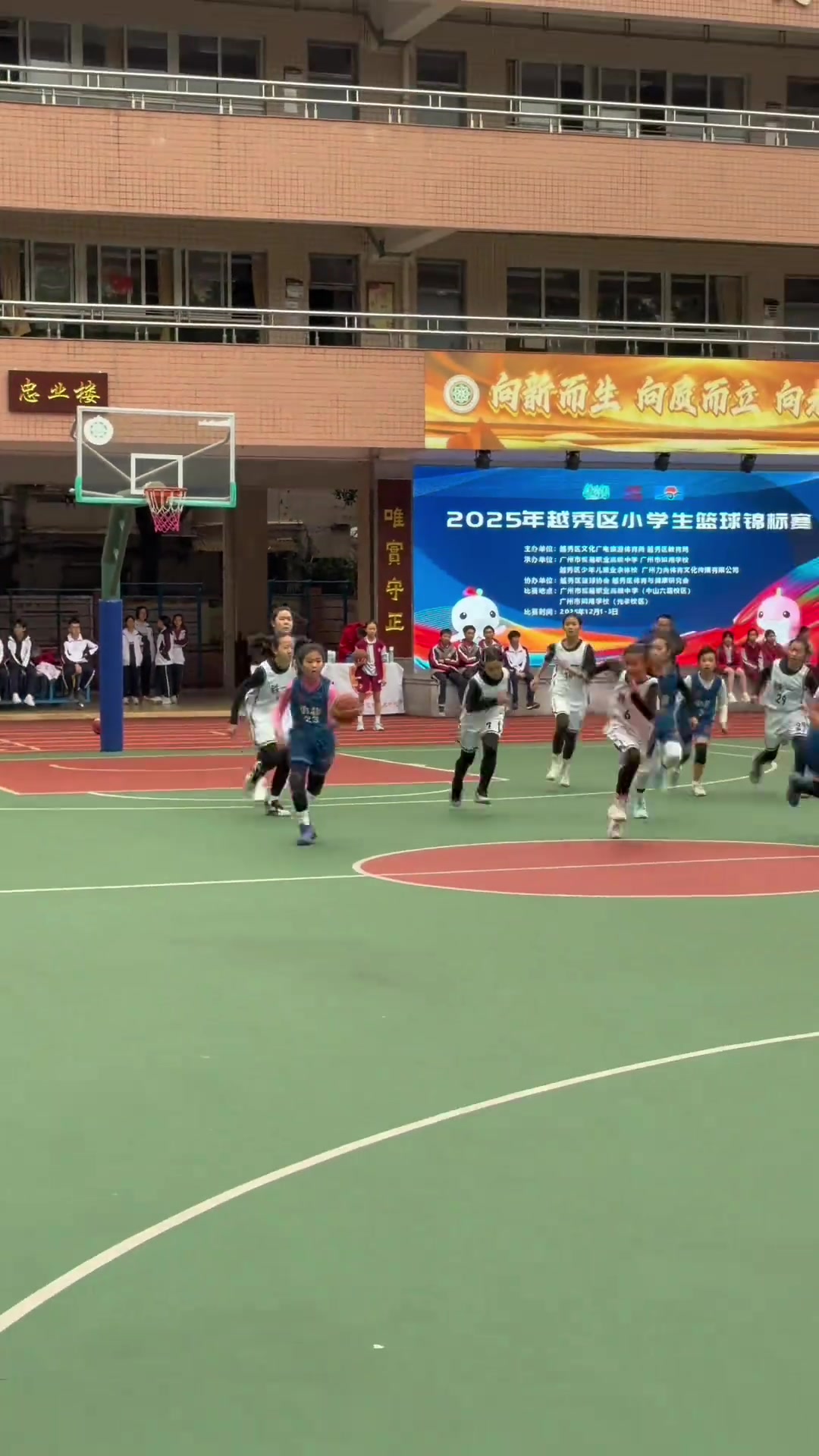 [你怎么看？]基本功扎实！小女孩打球对抗干拔上篮运控助攻样样