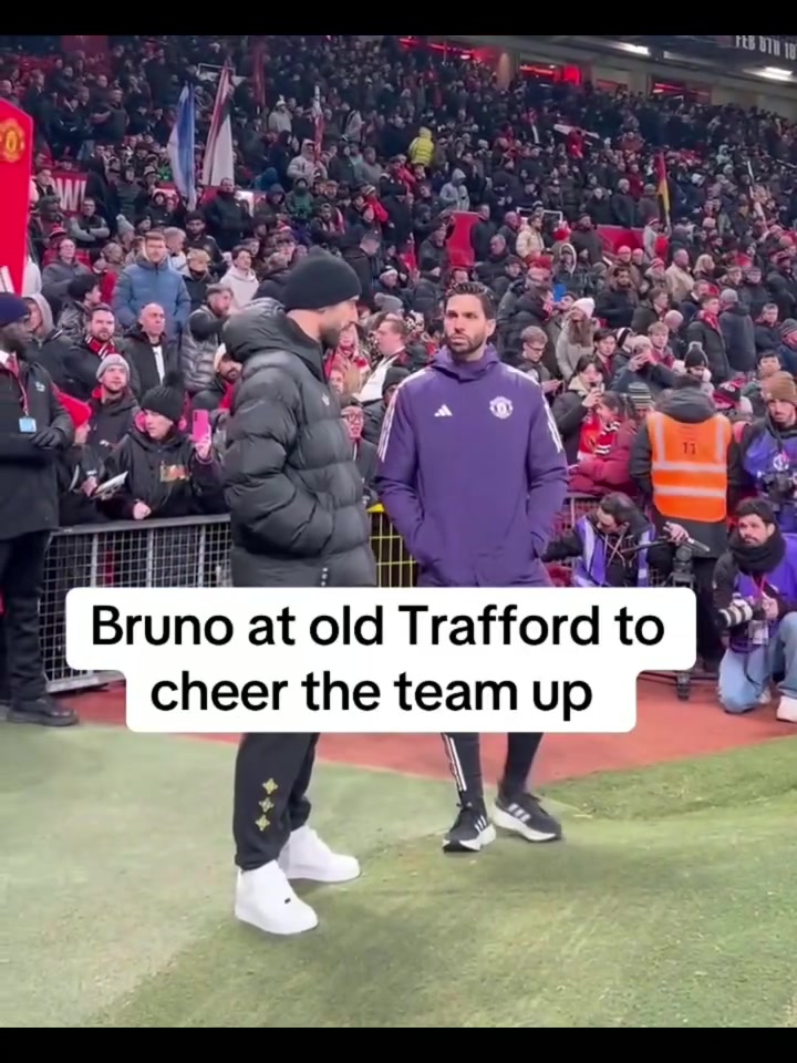 【你怎么看？】现场直拍：B费场边观战，球迷让B费把鲁本内维斯