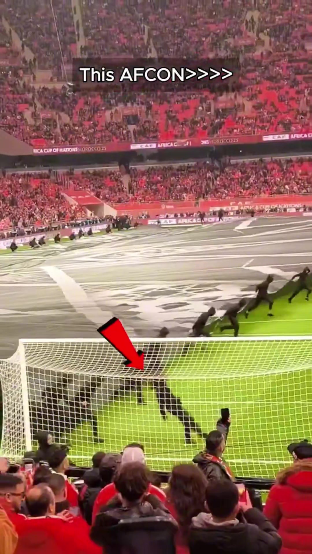 国外博主:不仅是足球,更是娱乐盛宴,这就是我热爱非洲杯的原因