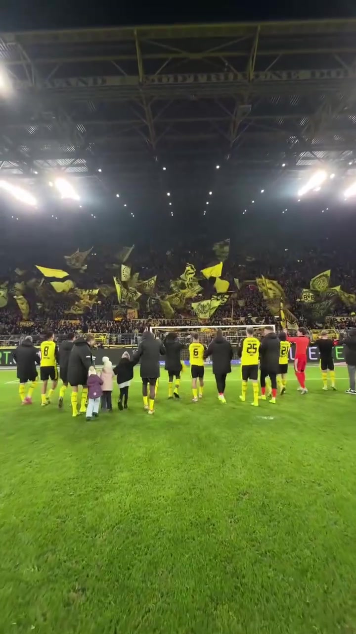 [推荐视频]缩小与榜首差距！主场险胜海登海姆，多特赛后球迷互动环节！