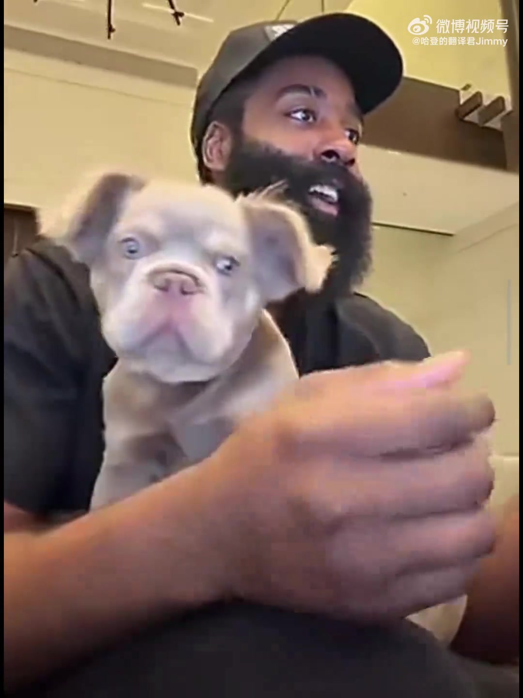  【集锦】哈登和他的宠物有球迷调侃这狗长得像贝弗利