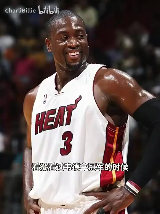 【精华剪辑】杨毅：韦德中距离很稳定❕，三分虽然投的少&关键时