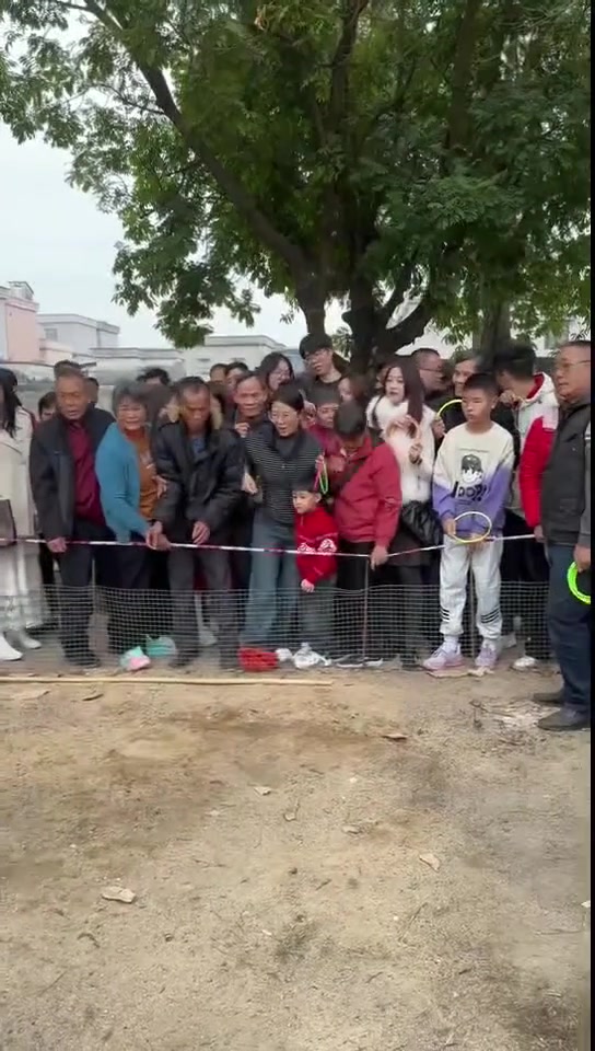 打篮球的人都投不出来！小姐姐一个圈套三只鹅 老板哭晕在厕所