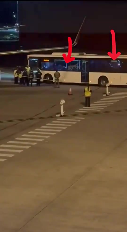 [赛场新说]博主晒出伊朗女足在车内❕用闪光灯向外打信号，博主