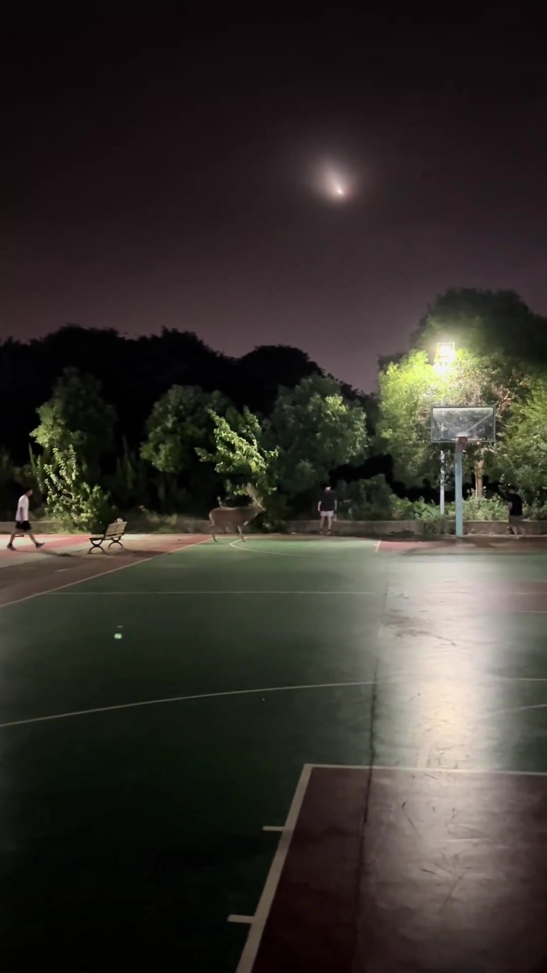 【你怎么看？】這是“雄鹿”隊(duì)的主場(chǎng)吧！