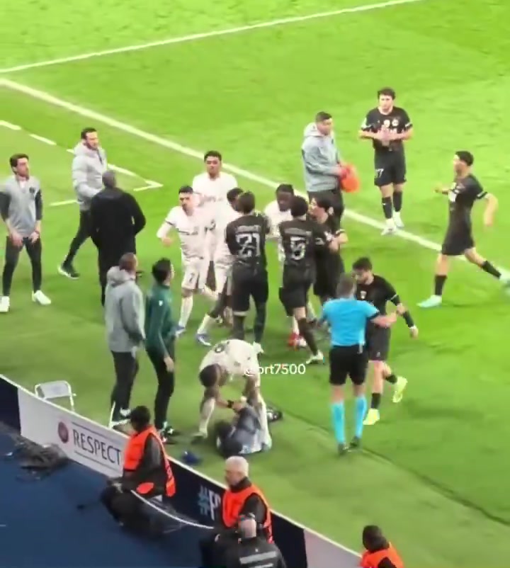 【实战片段】其他人都在打架，只有恩佐却牵起球童查看他是否安好