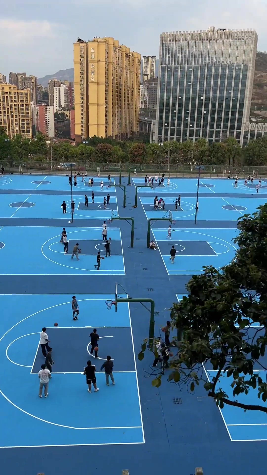 【篮球】篮球在中国还是太普及了！周末的下午 操场12个篮球场满员