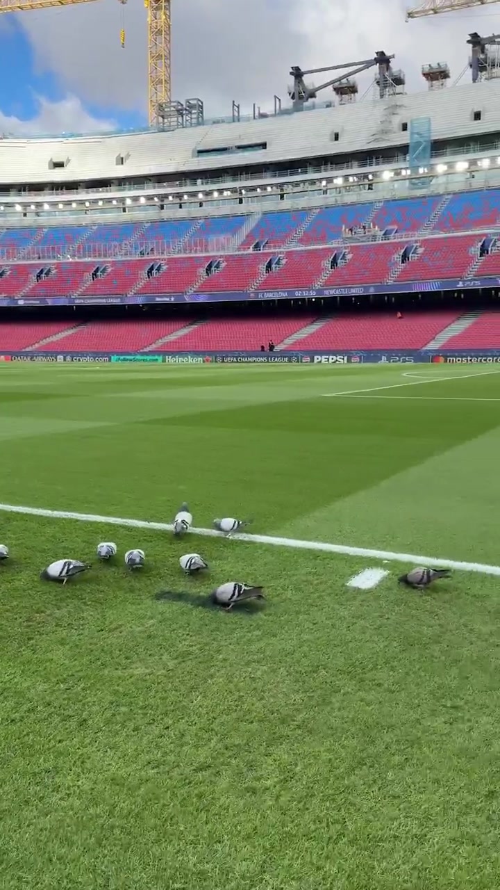 【热点视频】巴萨正在聘用一些非传统的场地维护人员，以保持诺坎