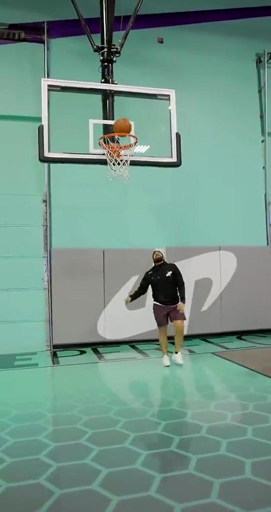 【集锦】东契奇vs普通人的体型差距，很大一只啊！这节奏也是无