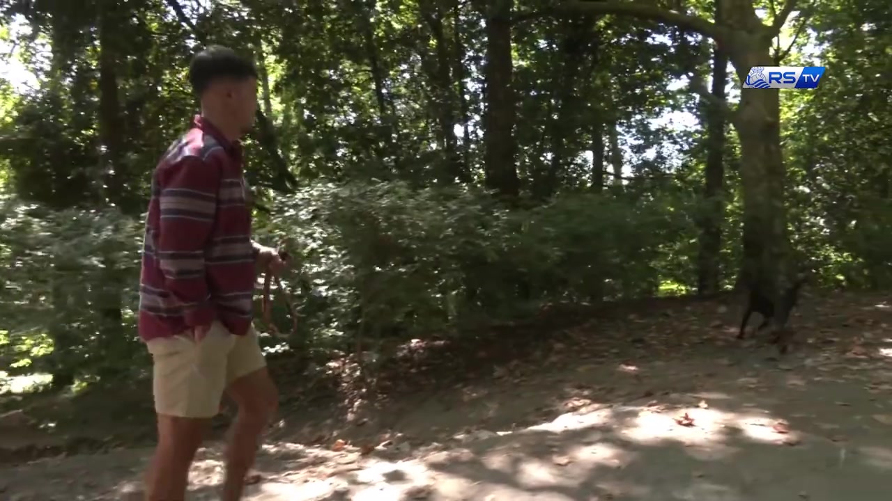 [皇家社会]治愈！考古：苏维门迪和自己狗狗的日常！