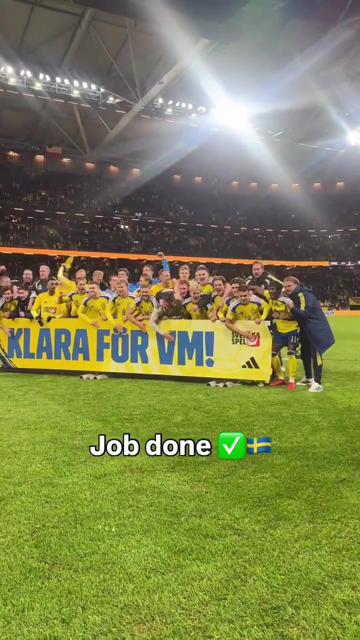 [有道理嘛?]前场质量还是很不错的！瑞典会是世界杯黑马吗？