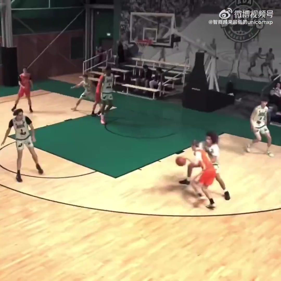 【精选视频推荐】法国新一代文班亚马？Diallo身高2米16身体协调打球无解